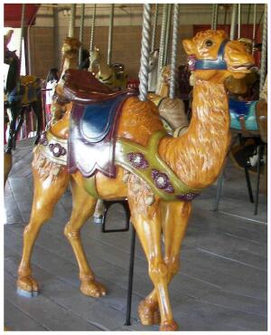 (Image: Carousel Camel)