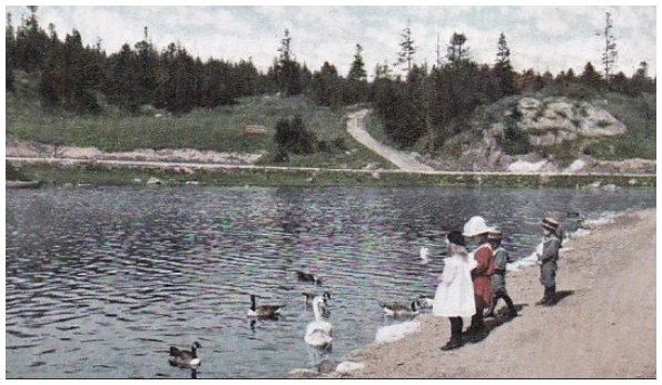 (Image: Children Play with Ducks and Swans at the Shore)